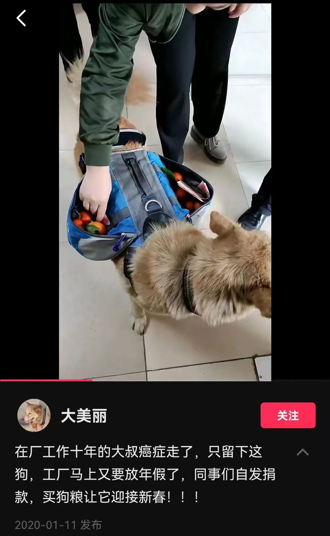 DƬ